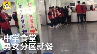 河南学校爆料视频最新,河南学校爆料视频引发社会关注